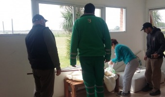 Trabajo solidario en el Cementerio